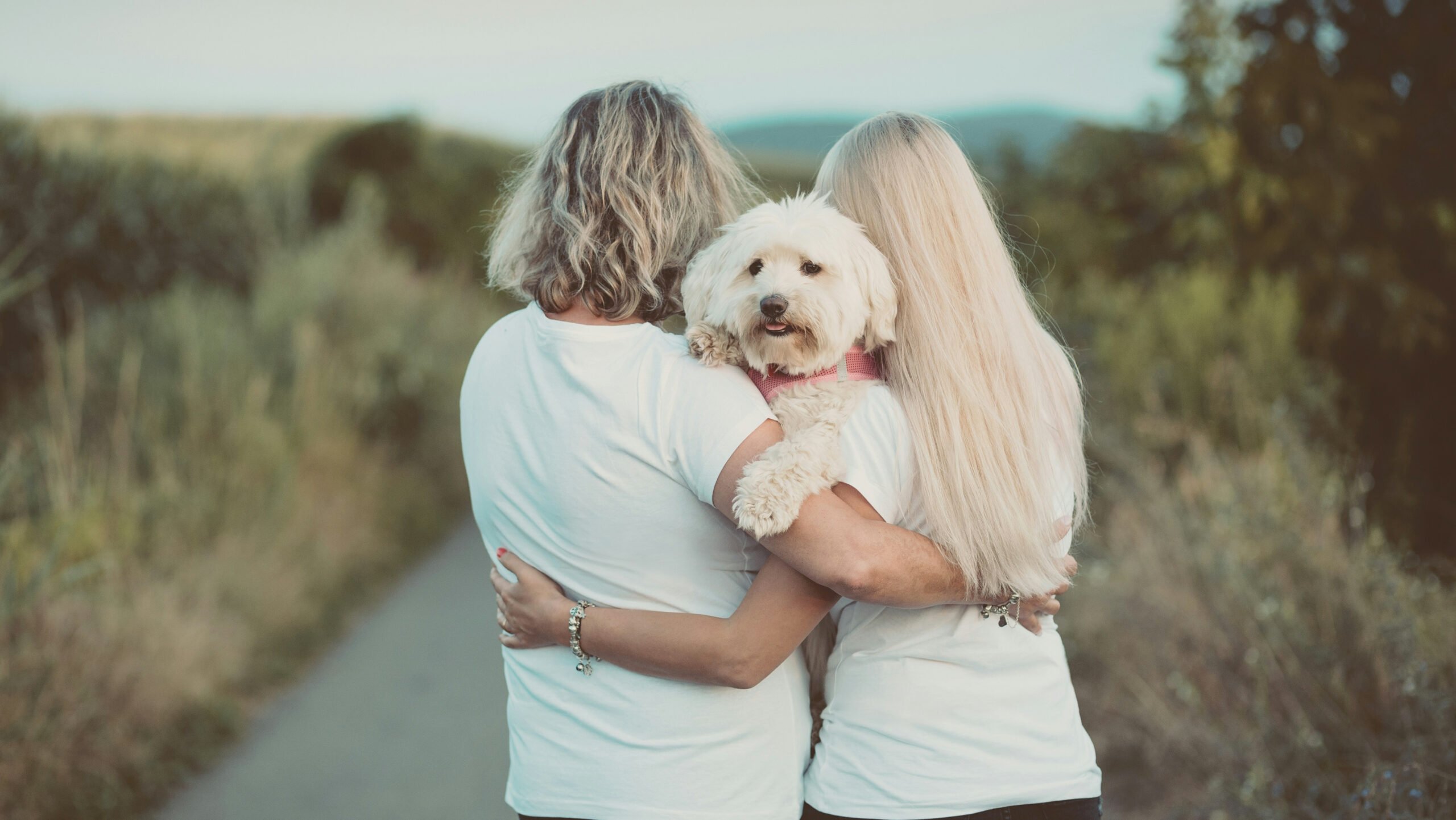 Ligação com pets (cães, gatos e outros) traz 5 benefícios imediatos para humanos